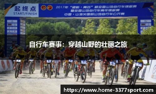 3377体育官网